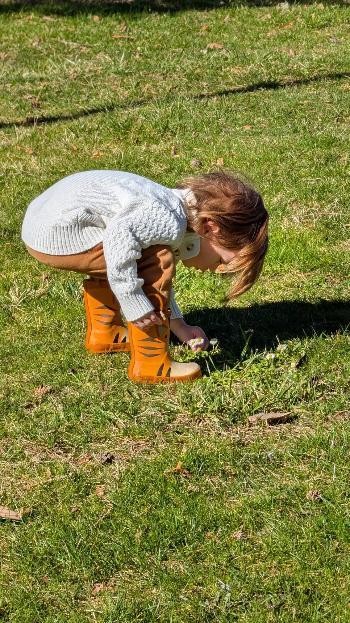 Kid and Nature